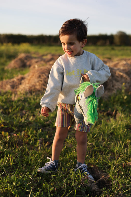 Calções STRIPES boy
