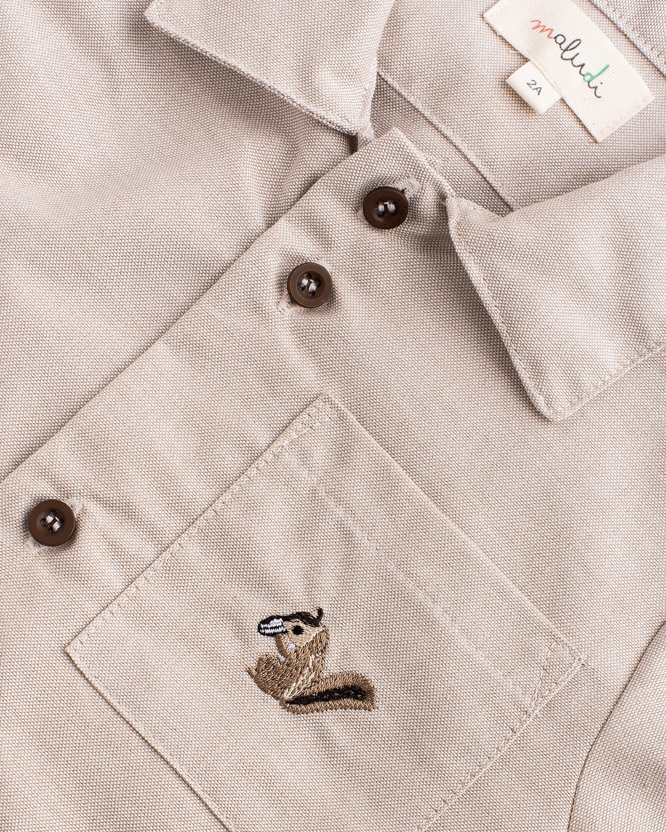 Camisa SQUIRREL
