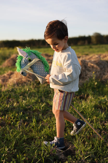 Calções STRIPES boy